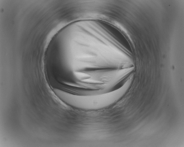 X0000073741480200608241309