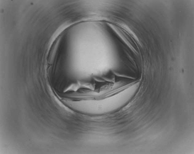X0000073741484200608241309