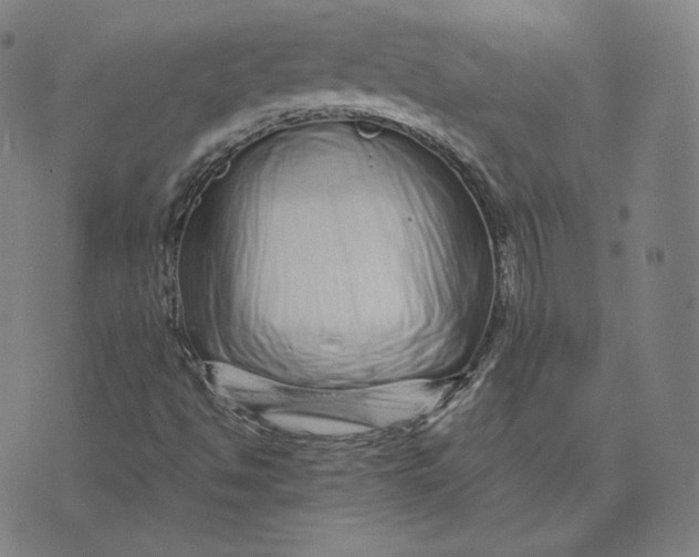 X0000073741494200608241309