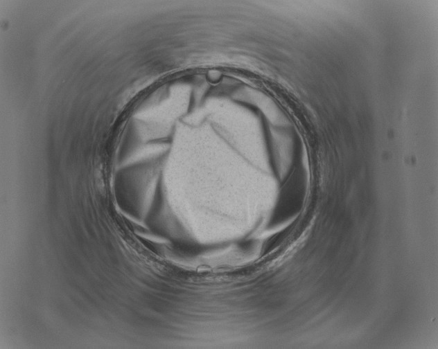 X0000073741497200608241309