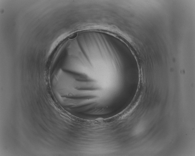 X0000073741501200608241309