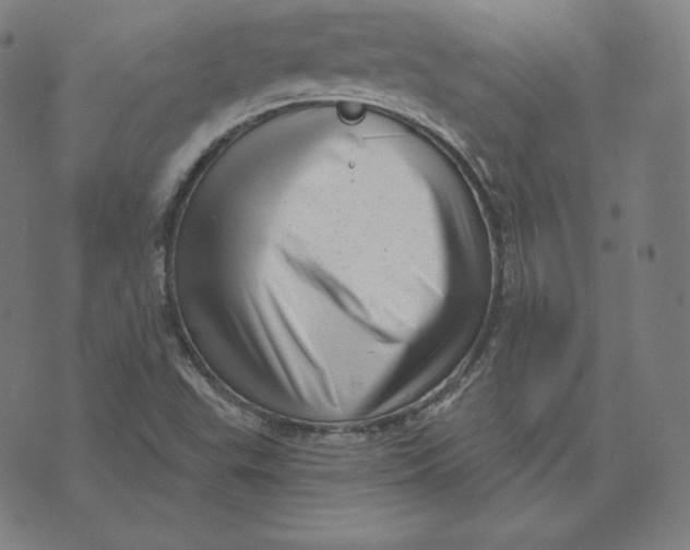 X0000073741503200608241309