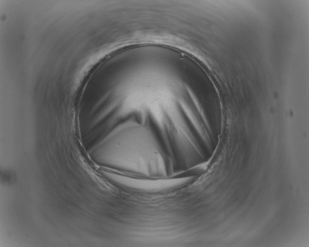 X0000073741507200608241309