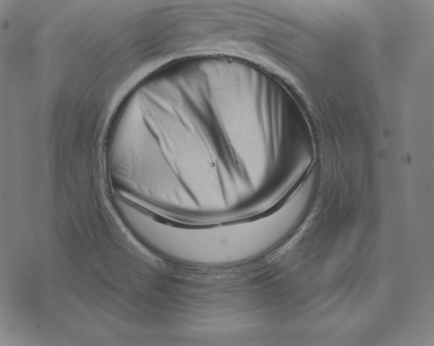 X0000073741517200608241309