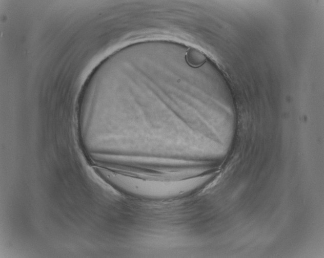 X0000073741518200608241309