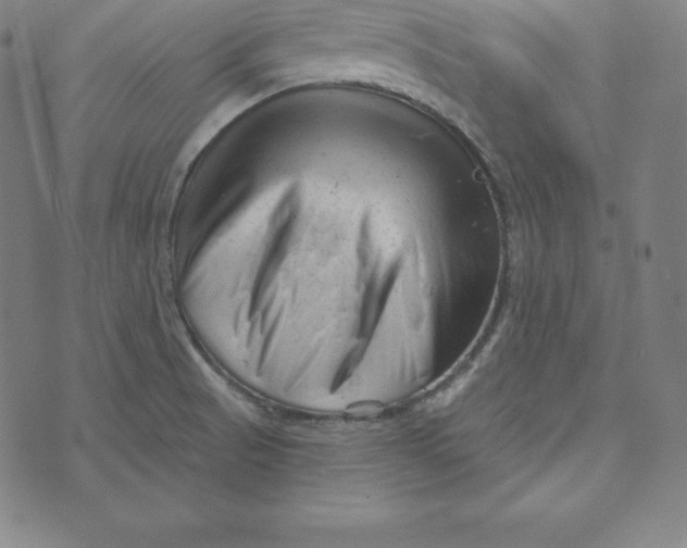 X0000073741521200608241309