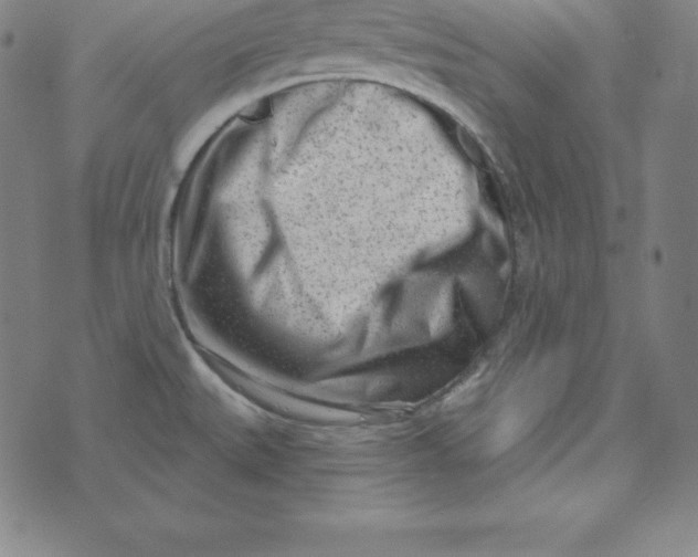 X0000073741527200608241309