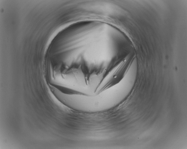X0000073741531200608241309