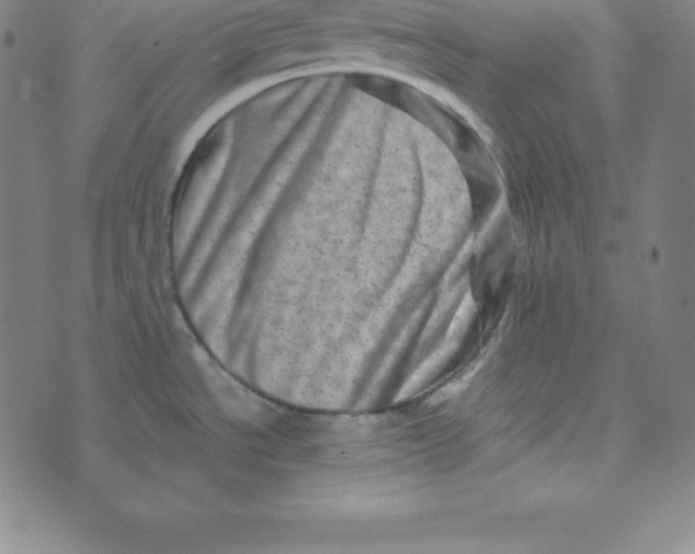 X0000073741534200608241309