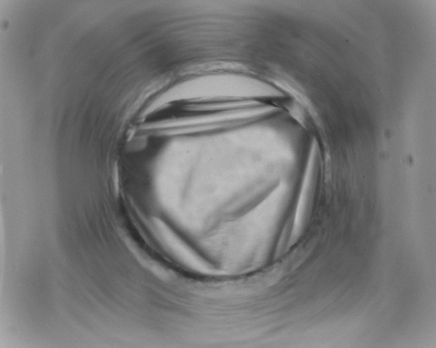 X0000073740013200608311921