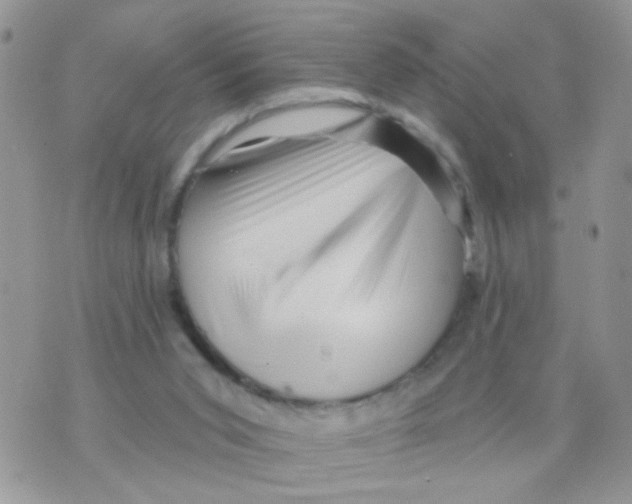 X0000073740015200608311921
