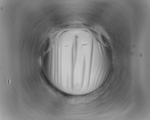 X0000073740021200608311921