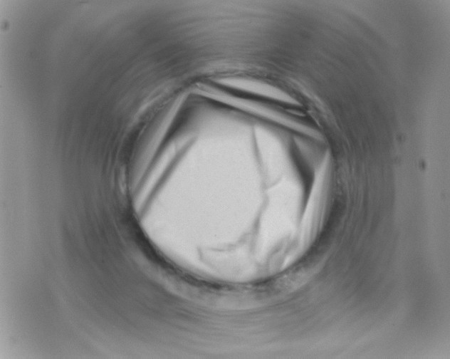 X0000073740024200608311921