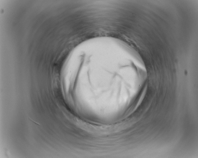 X0000073740038200608311921