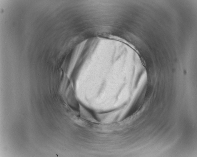 X0000073740041200608311921