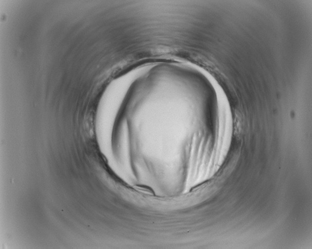 X0000073740043200608311921