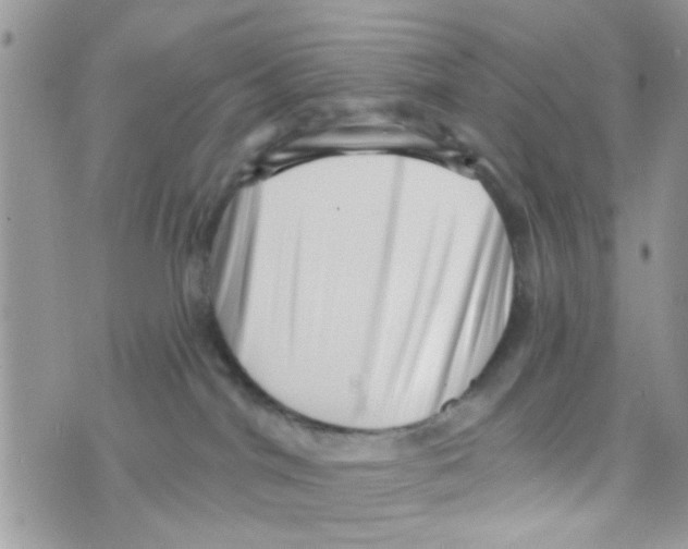 X0000073740044200608311921