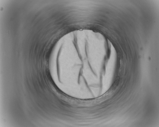 X0000073740048200608311921