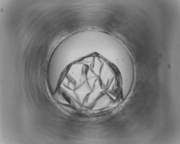 X0000073740049200608311920