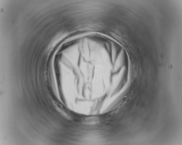 X0000073740050200608311920