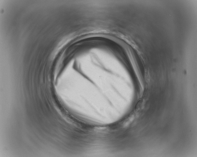 X0000073740055200608311920