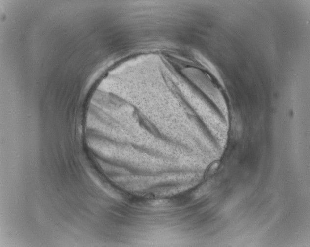 X0000073740059200608311920