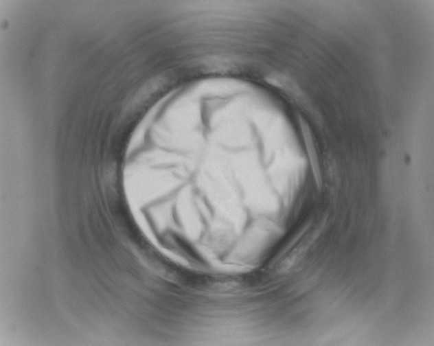 X0000073740066200608311920