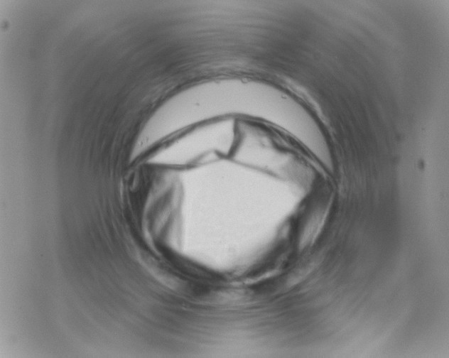 X0000073740069200608311920