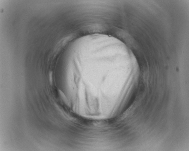 X0000073740070200608311920