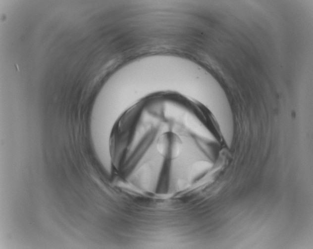 X0000073740072200608311920