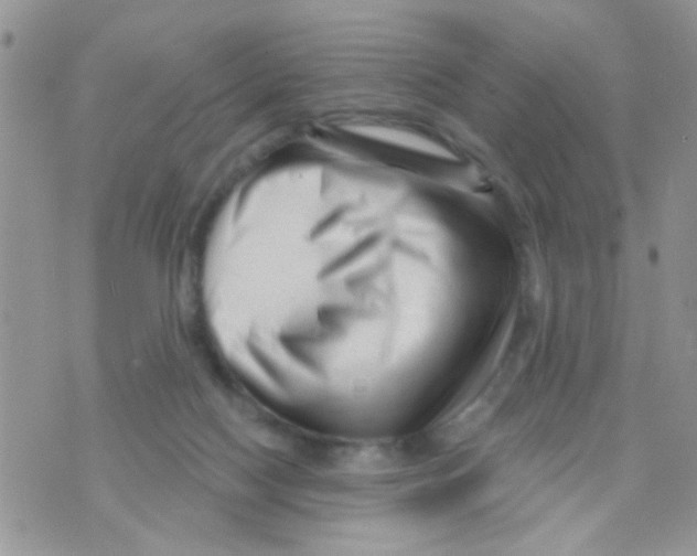 X0000073740074200608311921