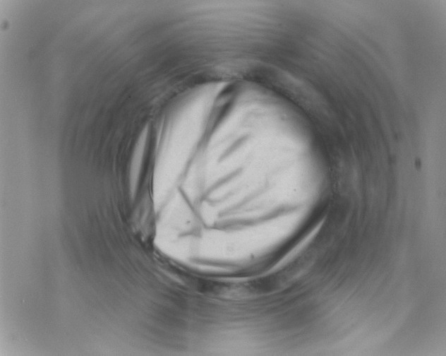 X0000073740075200608311921