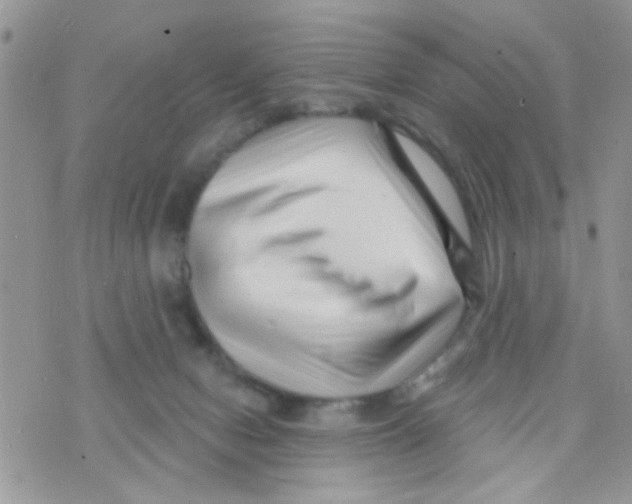 X0000073740078200608311921