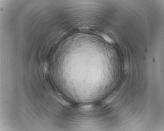 X0000073740081200608311921