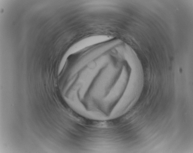 X0000073740083200608311921