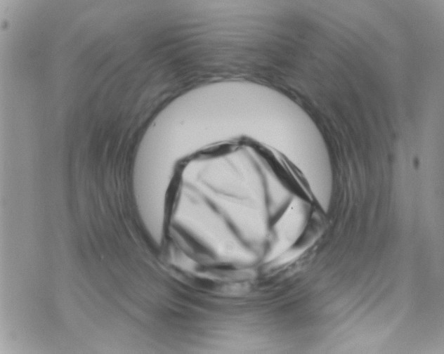 X0000073740084200608311921