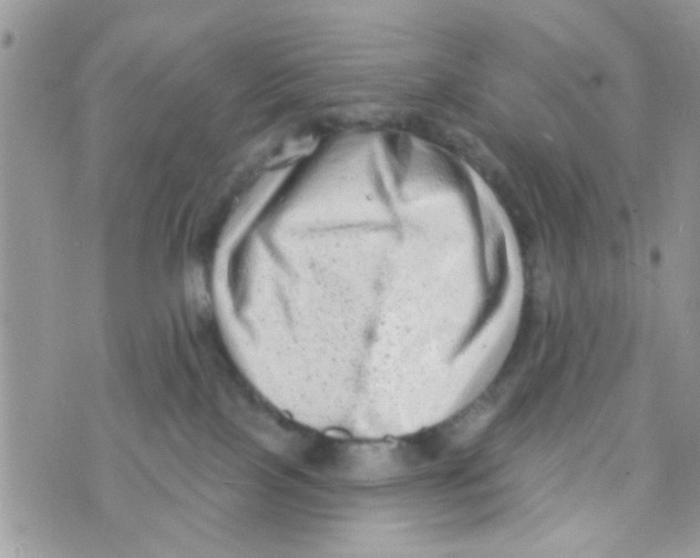 X0000073740089200608311921