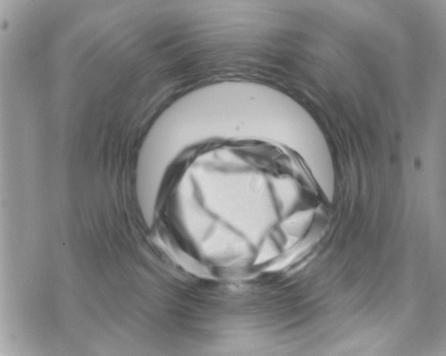 X0000073740092200608311921