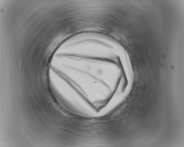 X0000073740098200608311920