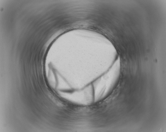 X0000073740100200608311920