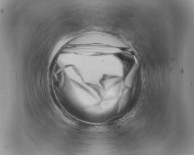 X0000073740102200608311920