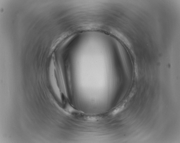 X0000073740105200608311920