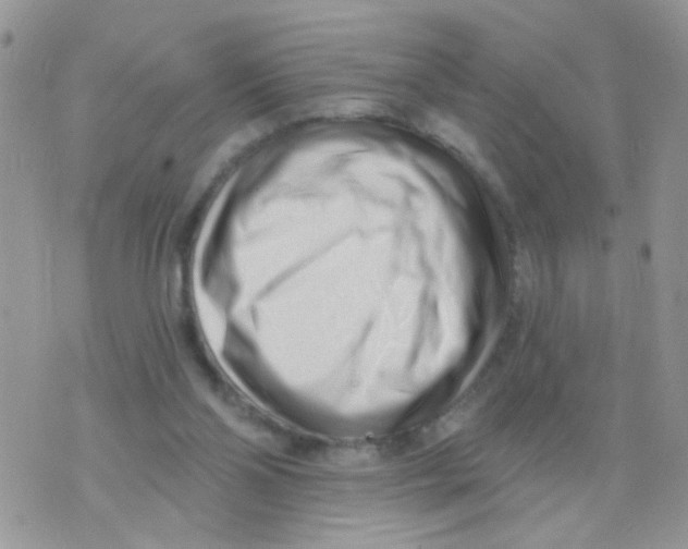 X0000073740110200608311920