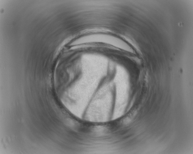 X0000073740111200608311920