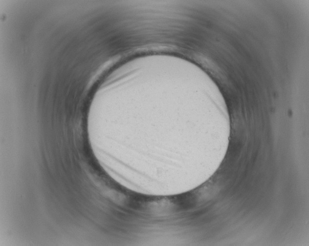 X0000073740112200608311920