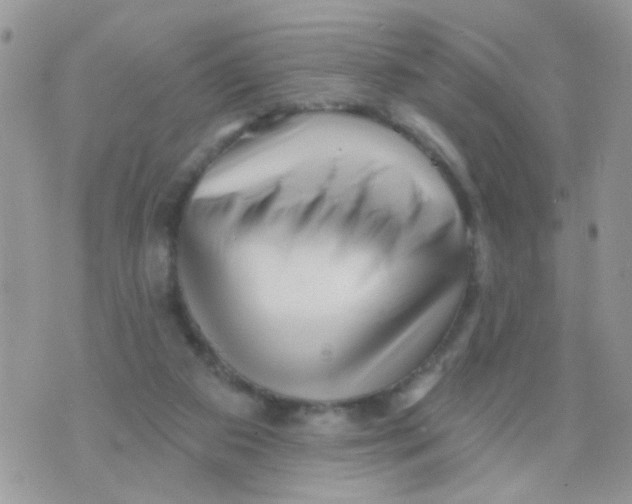 X0000073740113200608311920