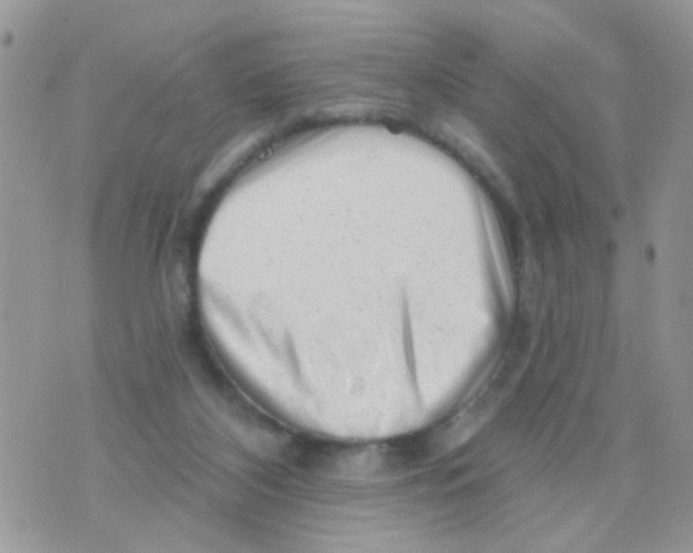 X0000073740116200608311920