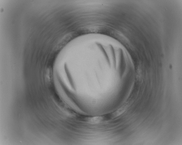 X0000073740122200608311920