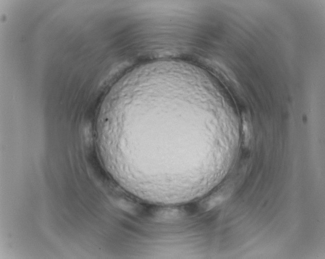 X0000073740123200608311920