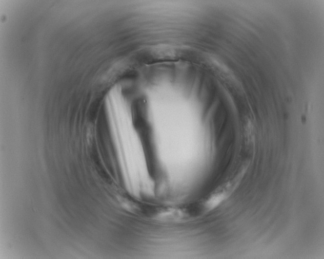 X0000073740125200608311920